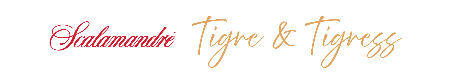 SCALAMANDRÉ TIGRE & TIGRESS