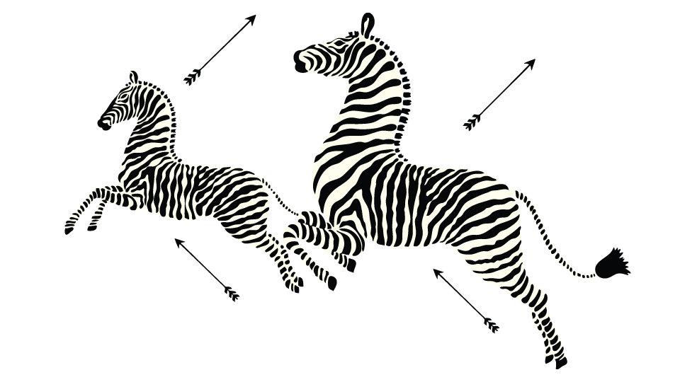 Scalamandré Zebras